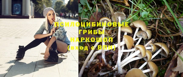 гидра Устюжна