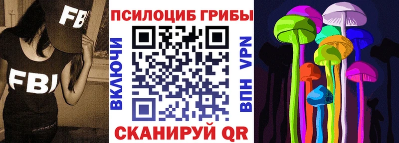 купить наркотик  Заинск  Псилоцибиновые грибы Psilocybe 