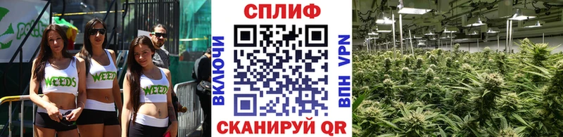 Марихуана THC 21%  Заинск 